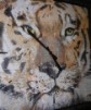 Orologio/Quadro con Tigre